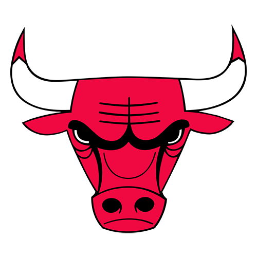 Chicago Bulls - Elite Zone Sports