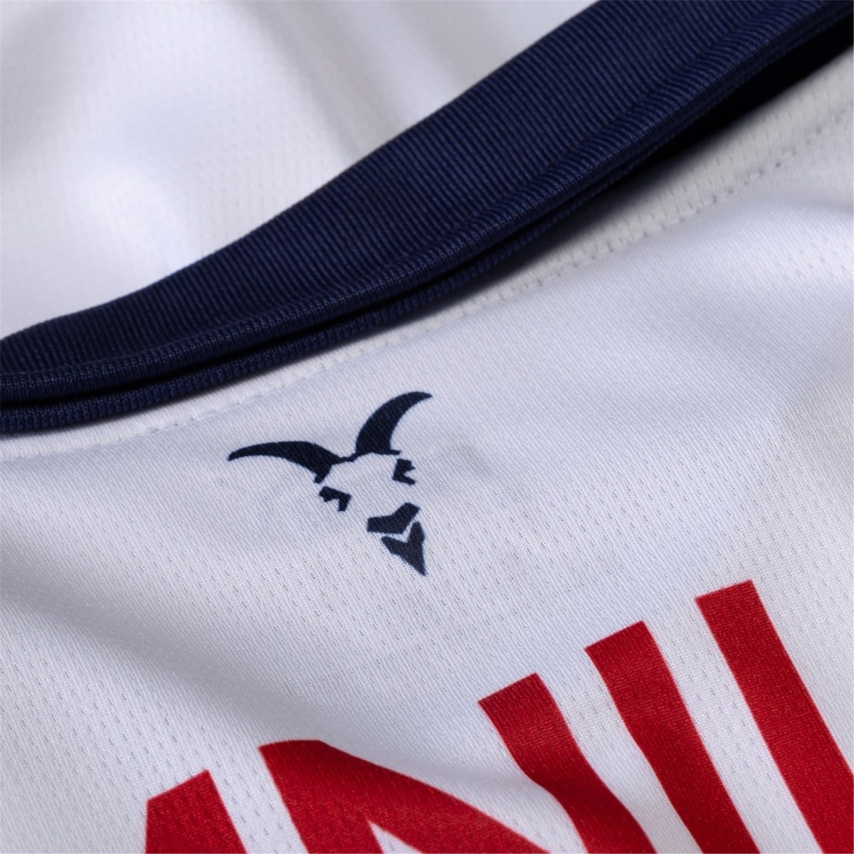 Chivas 24/25 Away Personalized Fans Soccer Jersey - Elite Zone Sports