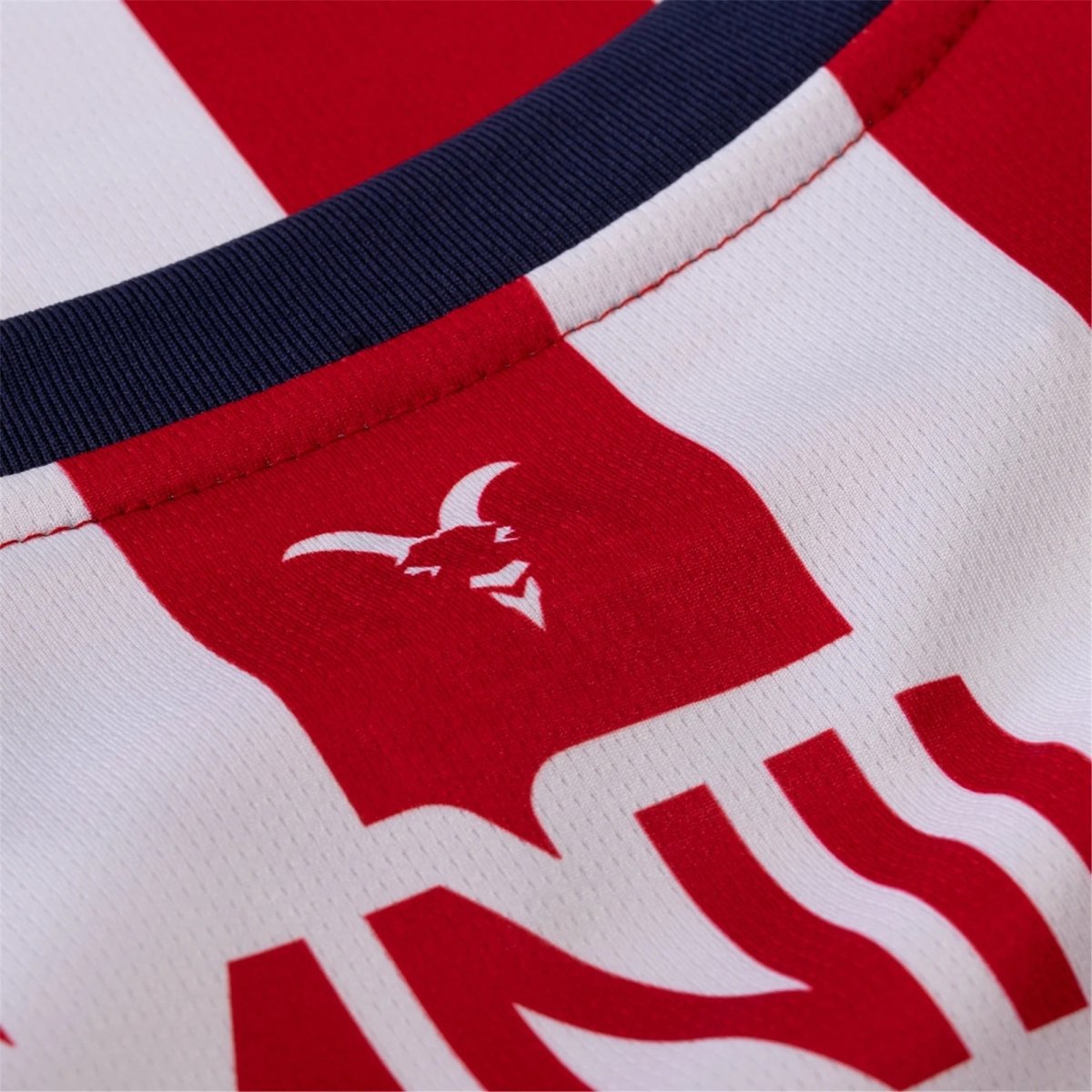 Chivas 24/25 Home Long Sleeve Soccer Jersey - Elite Zone Sports