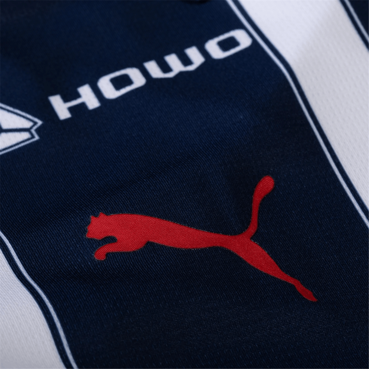 Sergio Ramos 93 Monterrey Rayados 24/25 Home Fans Soccer Jersey - Elite Zone Sports