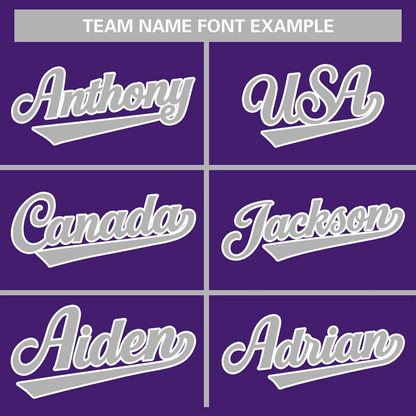 Elite Pro Purple Haze Baseball Jersey - Elite Zone Sports